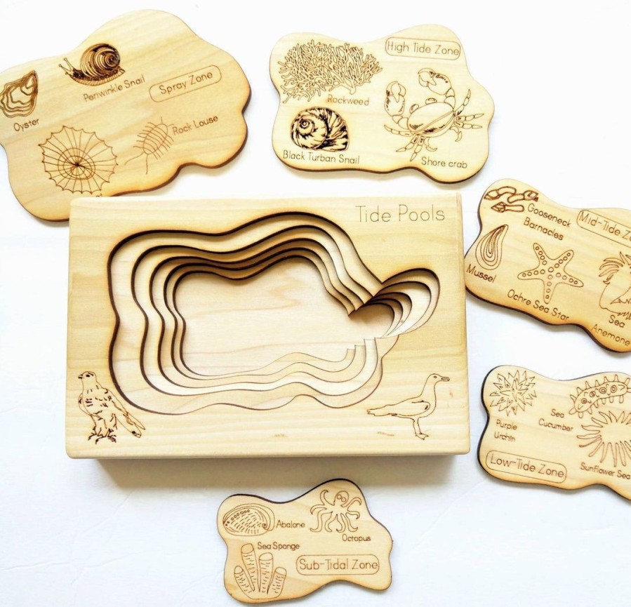 Seconds/Imperfect Tide Pool Layered Puzzle, Ocean Wooden Puzzle, Montessori Wooden Puzzle | Mirus Toys New