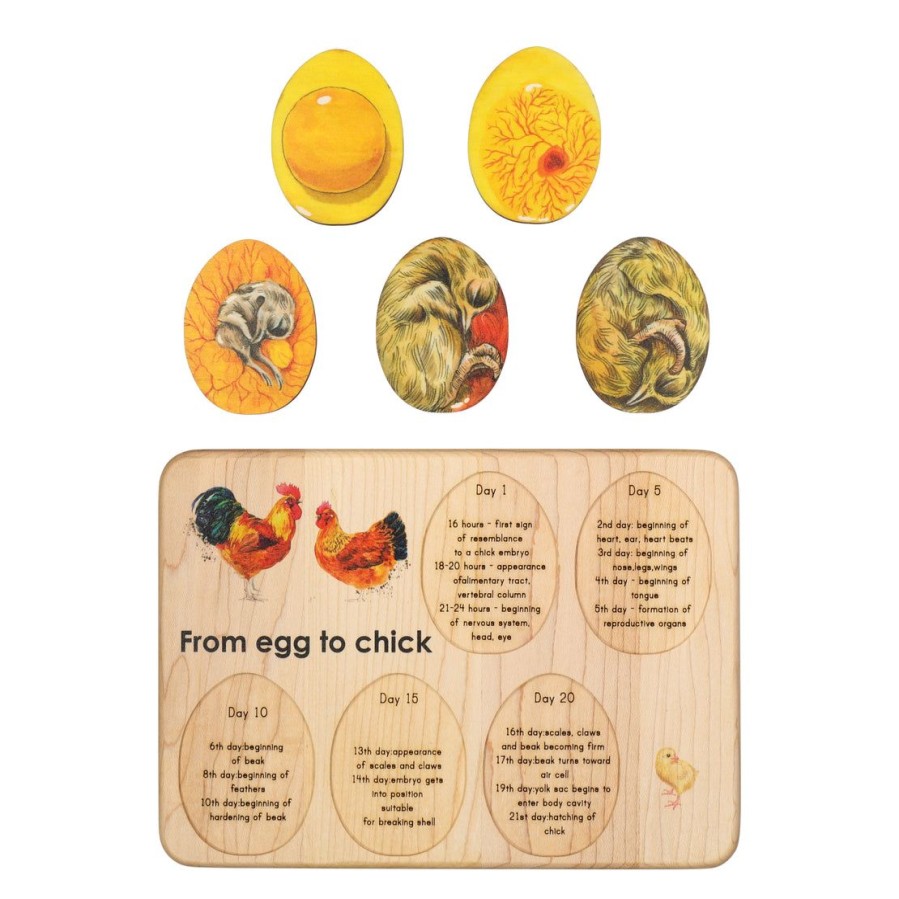 Chicken Development - Chicken Gift- Raising Chickens - Montessori - Wooden Puzzle | Mirus Toys Hot