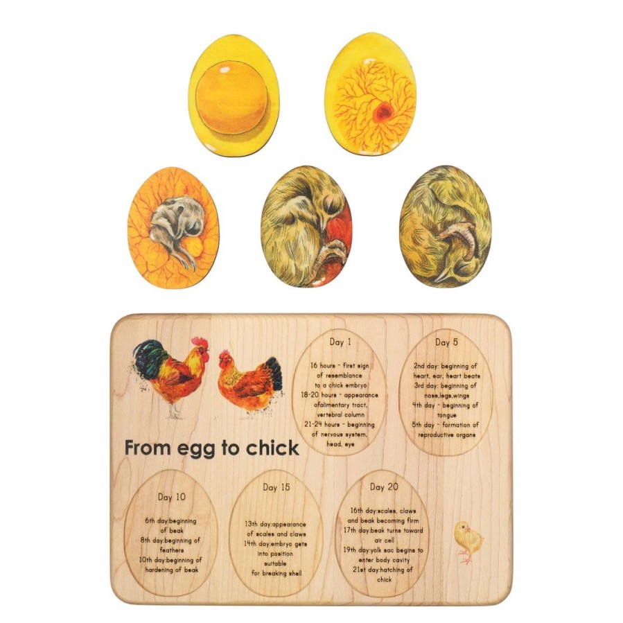 Mirus Toys Chicken Development - Chicken Gift- Raising Chickens - Montessori - Wooden Puzzle | Bird Collection