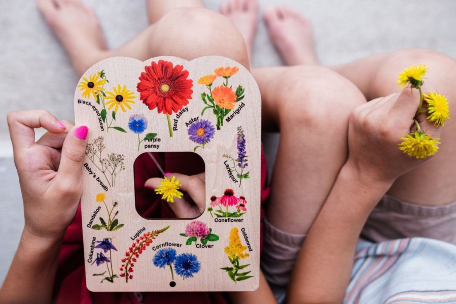 Double Sided Flower And Fungi (Mushroom) Nature Window | Mirus Toys Wholesale