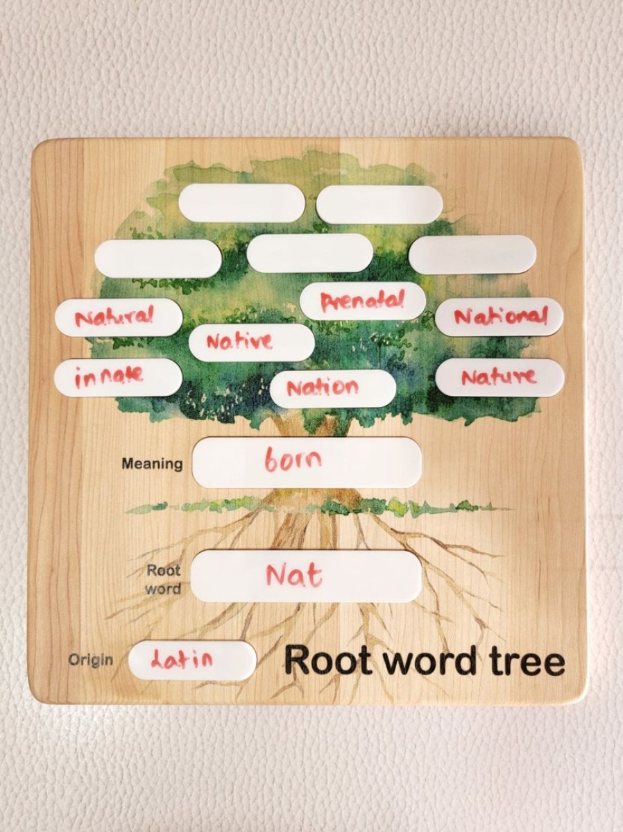 Root Word Tree Board | Mirus Toys Best