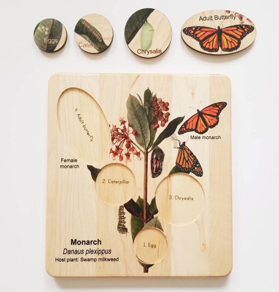 Nature Bound Toys - Life Cycle Of A Monarch Butterfly, Butterfly Life Cycle, Montessori Materials, Monarch Life Cycle, Waldorf Inspired, | Mirus Toys New