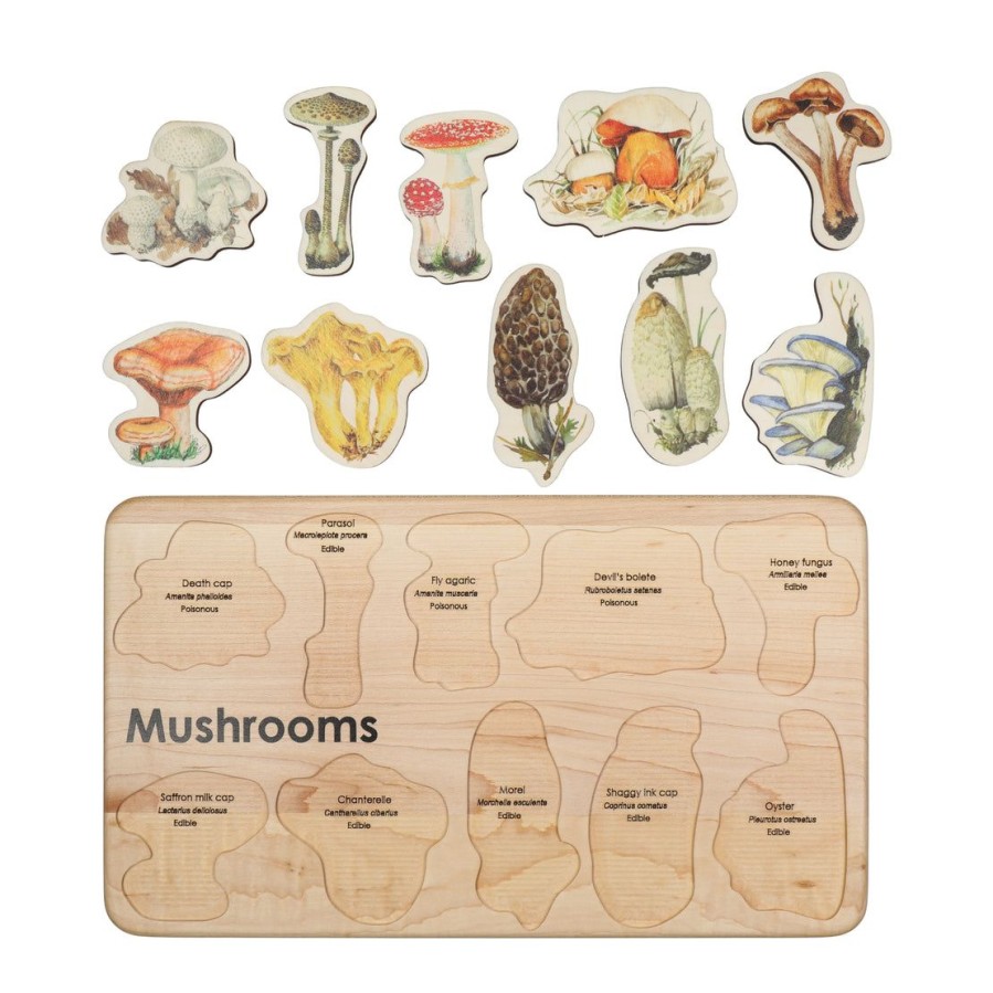 Mushroom Wooden Puzzle For Homeschooling Lessons | Mirus Toys Clearance