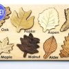 Seconds/Imperfect Leaf Puzzle | Mirus Toys Online