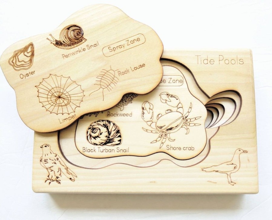 Mirus Toys Tide Pool Layered Puzzle, Ocean Wooden Puzzle, Montessori Wooden Puzzle | Science & Nature