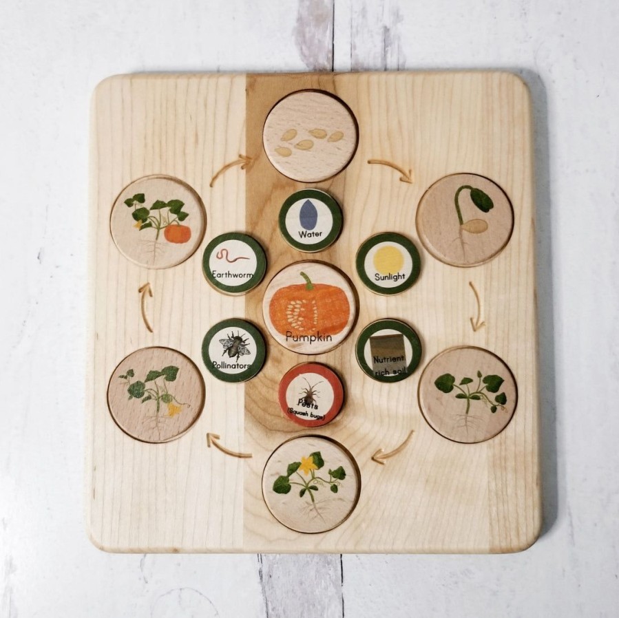 Life Cycle Board Wooden - Montessori Science | Mirus Toys Wholesale