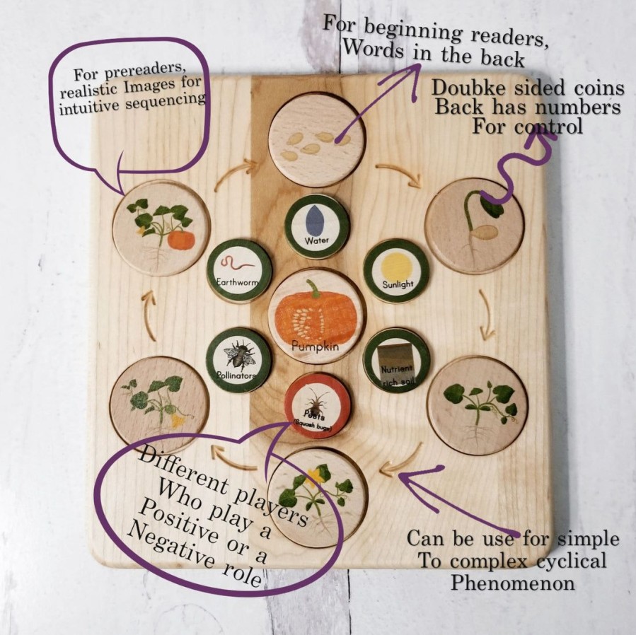 Mirus Toys Life Cycle Board Wooden - Montessori Science | Language Arts