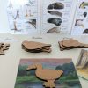 Build A Bird Wooden Puzzle - Montessori Toys - Waldorf - Reggio Inspired | Mirus Toys Online