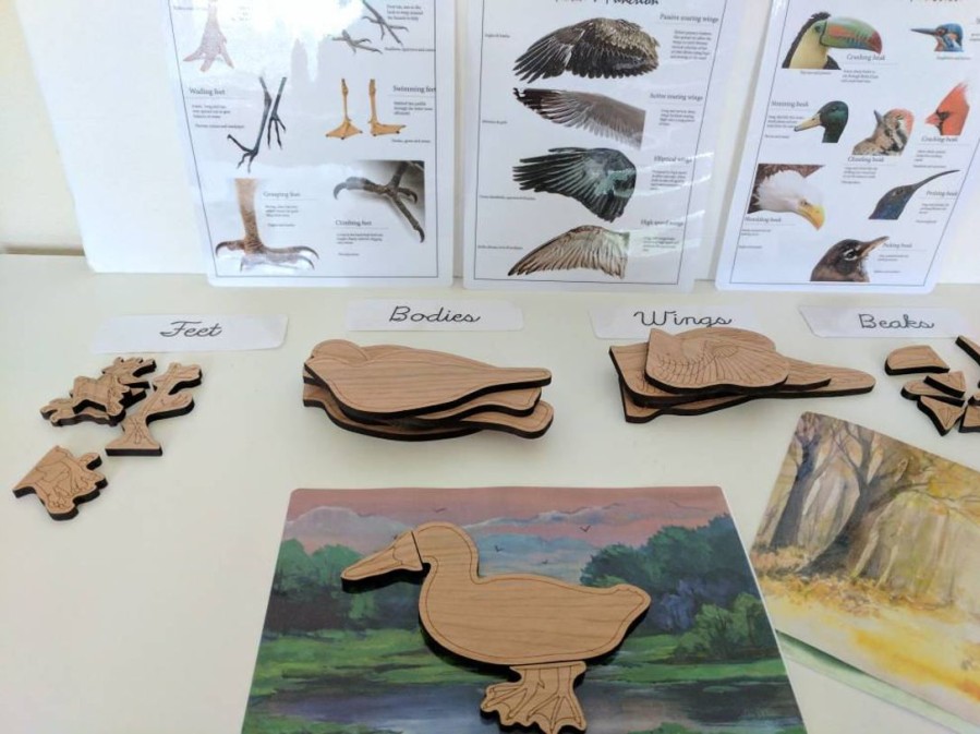 Build A Bird Wooden Puzzle - Montessori Toys - Waldorf - Reggio Inspired | Mirus Toys Online