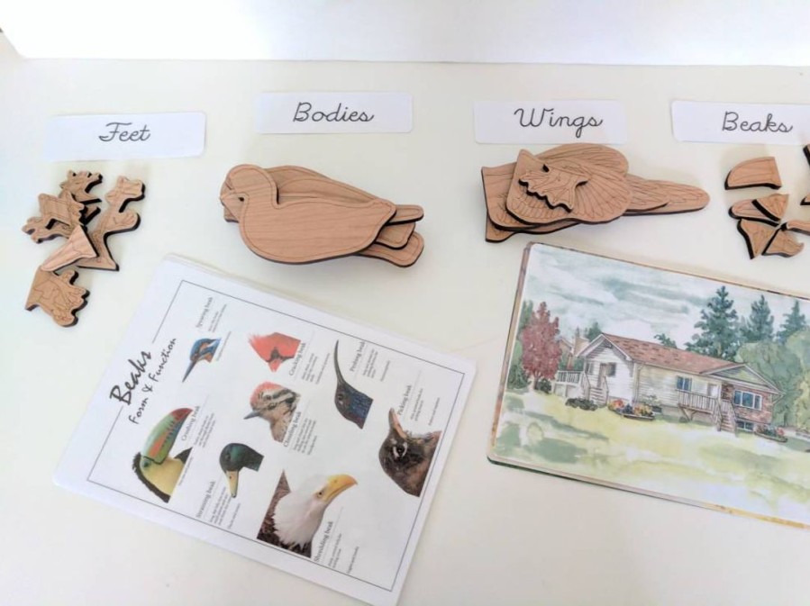 Build A Bird Wooden Puzzle - Montessori Toys - Waldorf - Reggio Inspired | Mirus Toys Online