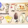 Seconds/Imperfect Mushroom Wooden Puzzle For Homeschooling Lessons | Mirus Toys Best