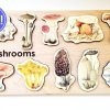 Mirus Toys Seconds/Imperfect Mushroom Wooden Puzzle For Homeschooling Lessons | Science & Nature