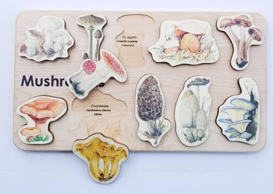 Seconds/Imperfect Mushroom Wooden Puzzle For Homeschooling Lessons | Mirus Toys Best