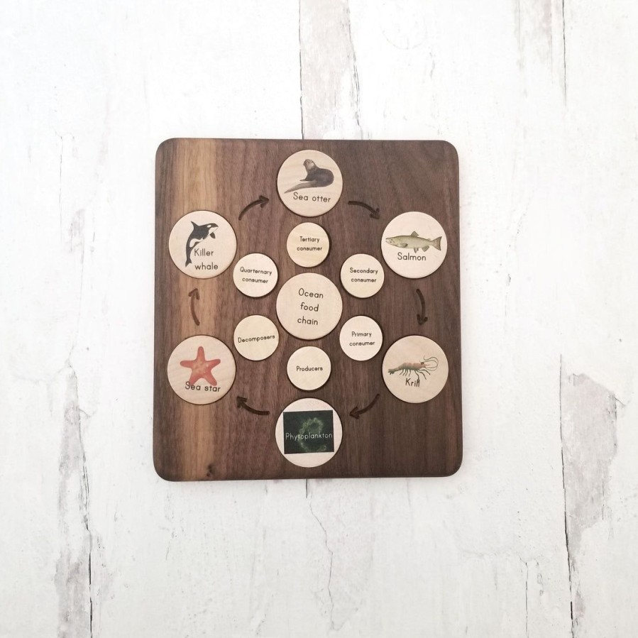 Coins For The Life Cycle Board | Mirus Toys Online