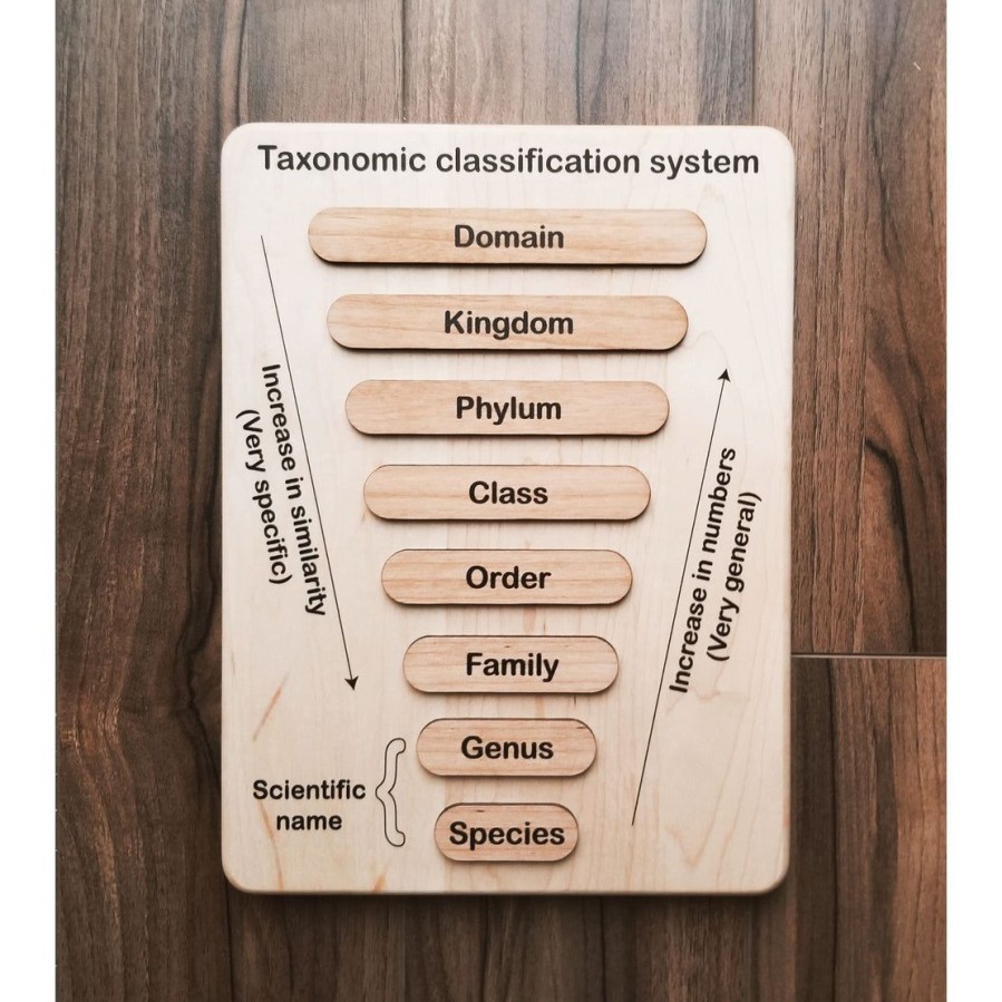 Taxonomy Puzzle - Classification Chart - Animal Kingdom Classification Puzzle | Mirus Toys Online