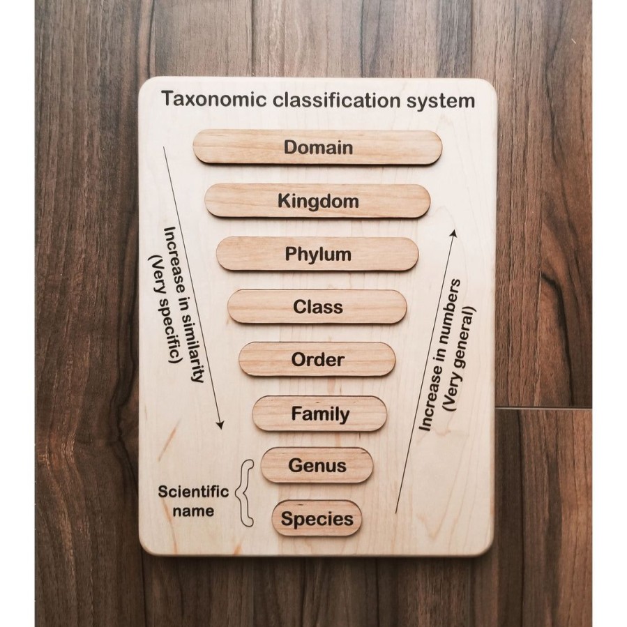 Mirus Toys Taxonomy Puzzle - Classification Chart - Animal Kingdom Classification Puzzle | Science & Nature