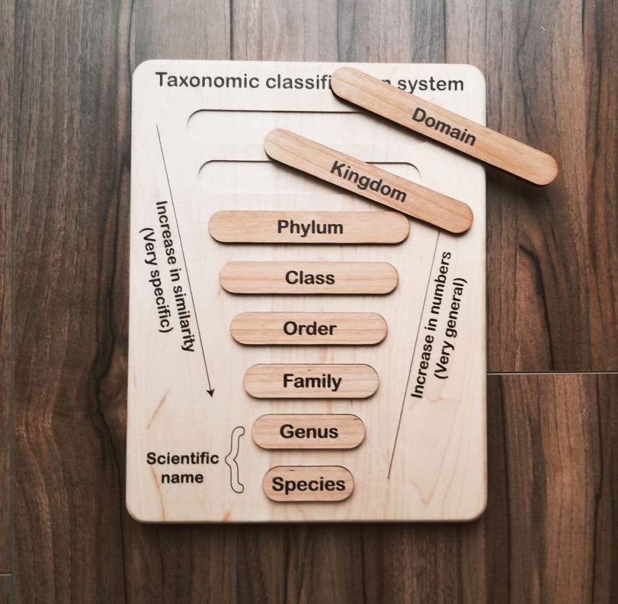 Mirus Toys Taxonomy Puzzle - Classification Chart - Animal Kingdom Classification Puzzle | Science & Nature