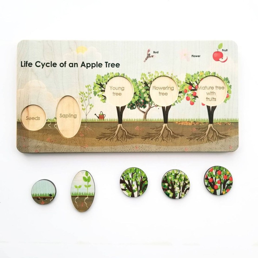 Montessori Learning Activity - Life Cycle Board - Life Cycle Of An Apple Tree Puzzle- Montessori - Life Cycle Of A Plant | Mirus Toys Hot