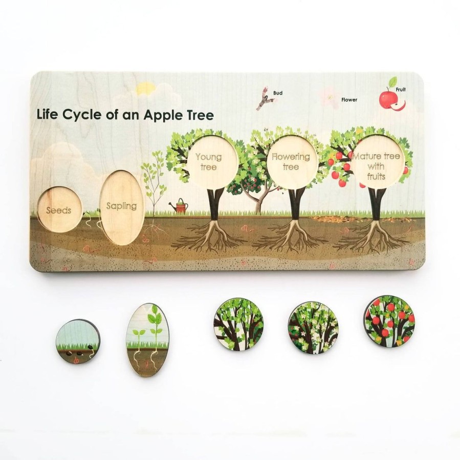 Mirus Toys Montessori Learning Activity - Life Cycle Board - Life Cycle Of An Apple Tree Puzzle- Montessori - Life Cycle Of A Plant | Science & Nature