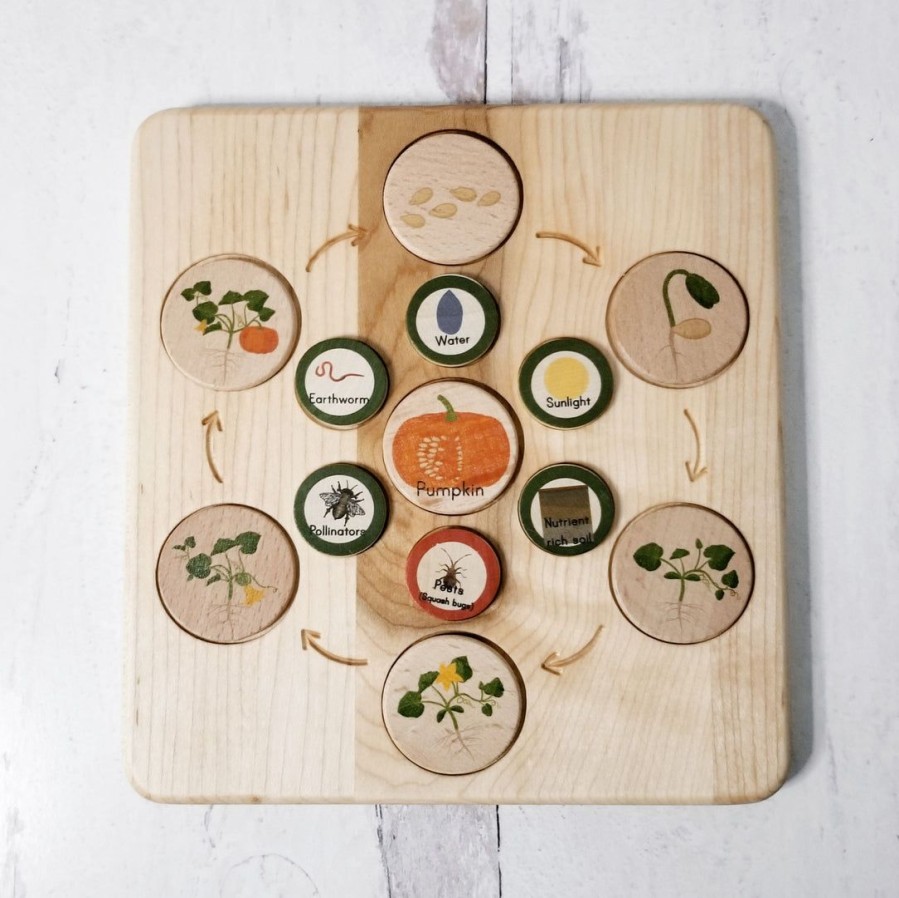 Seconds/Imperfect Life Cycle Board Wooden - Montessori Science Board Only | Mirus Toys New