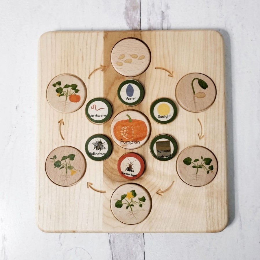 Mirus Toys Seconds/Imperfect Life Cycle Board Wooden - Montessori Science Board Only | Language Arts