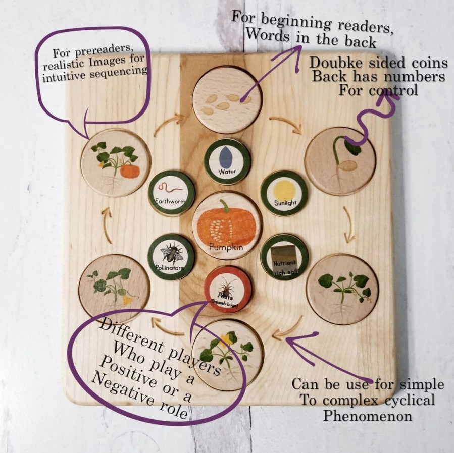 Mirus Toys Seconds/Imperfect Life Cycle Board Wooden - Montessori Science Board Only | Language Arts